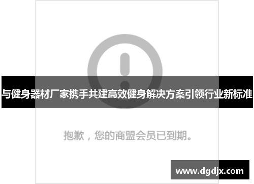与健身器材厂家携手共建高效健身解决方案引领行业新标准